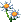 Chamomile