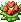 Charmweed