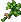 Coriander