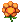 Funflower