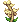 Luachra