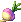Turnip